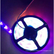 Digital RGB Ws2812b DC5V SMD RGB LED Strip